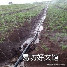水肥一体化 哪些农作物适合安装滴灌?