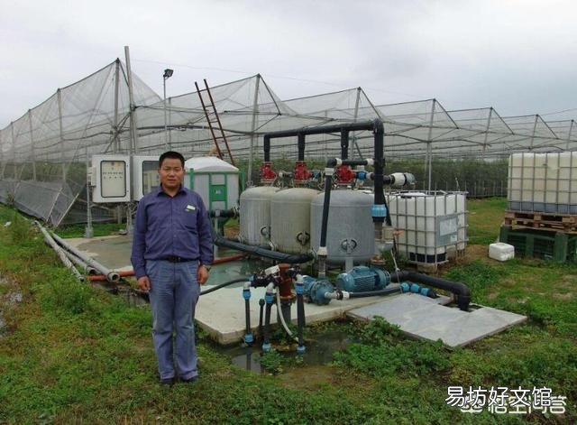 水肥一体化 哪些农作物适合安装滴灌?