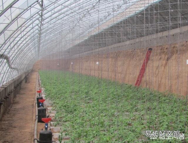 水肥一体化 哪些农作物适合安装滴灌?