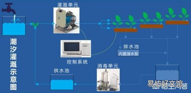 水肥一体化 哪些农作物适合安装滴灌?