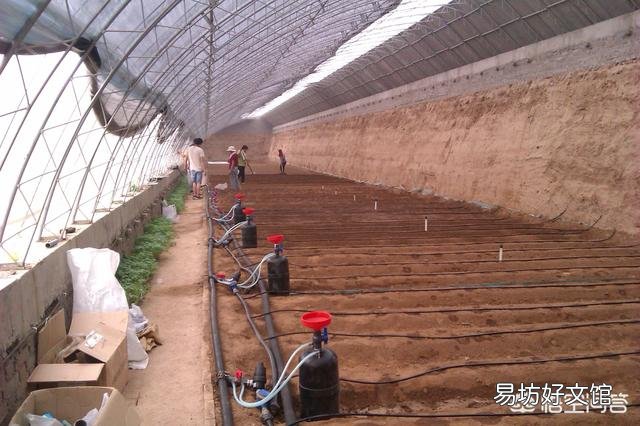 水肥一体化 哪些农作物适合安装滴灌?
