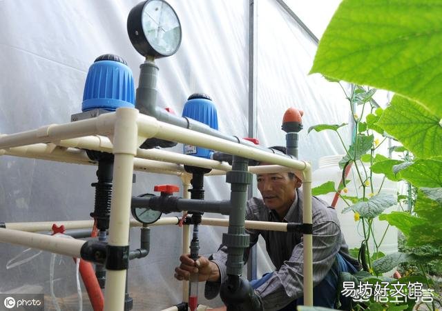 水肥一体化 哪些农作物适合安装滴灌?