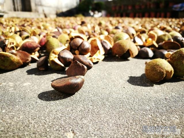 你認為快遞結合農產品電商模式怎么樣呢？發展前景如何呢？