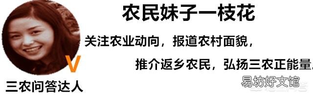 八月该种什么菜比较好?