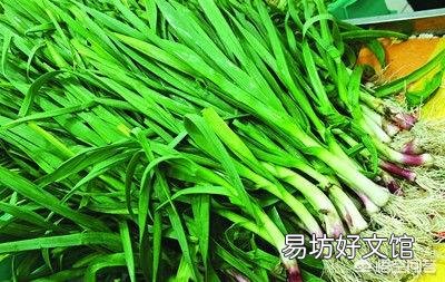 八月该种什么菜比较好?