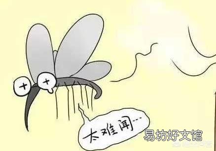 在你童年的时候，夏天用什么驱蚊？