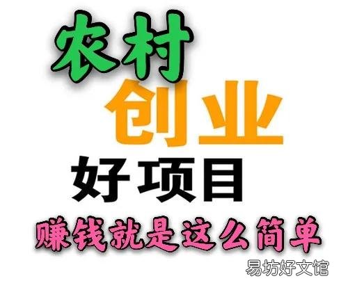适合穷人没本钱的养殖 农村致富种值项目有哪些
