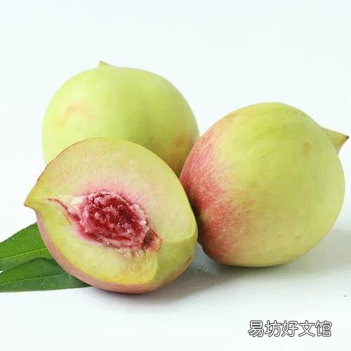 适合穷人没本钱的养殖 农村致富种值项目有哪些