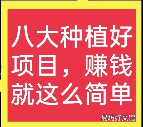 适合穷人没本钱的养殖 农村致富种值项目有哪些