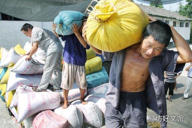 农民长年外出打工算不算对国家贡献?