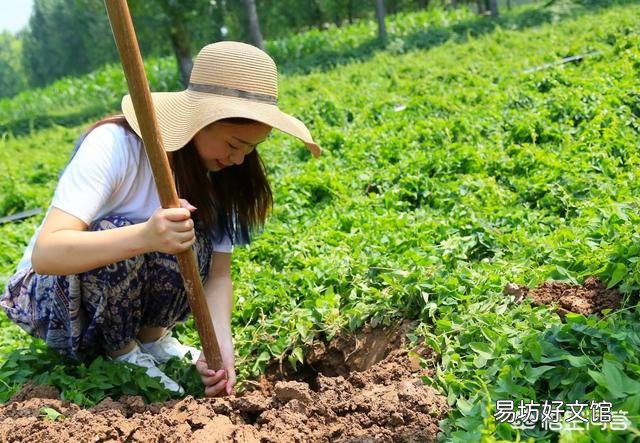 我家房子后面有人种地,地离房子后墙很近,导致地基下沉墙体裂缝,该怎么办?