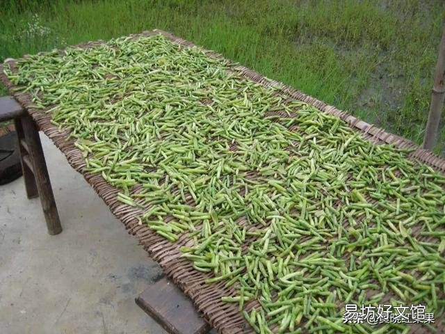 夏天在农村经常看到将茄子、长豆角晒干,好吃吗?怎么制作的呢?