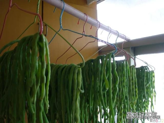 夏天在农村经常看到将茄子、长豆角晒干,好吃吗?怎么制作的呢?