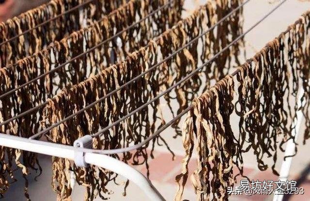 夏天在农村经常看到将茄子、长豆角晒干,好吃吗?怎么制作的呢?