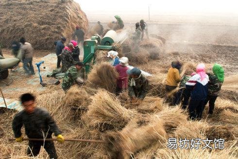 农村又马上双抢季了,789年代的双抢除了刻骨的艰辛,还有什么美好记忆吗?