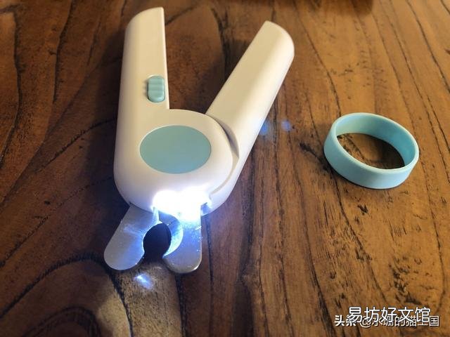给猫咪剪指甲(给猫咪剪指甲正确方法)