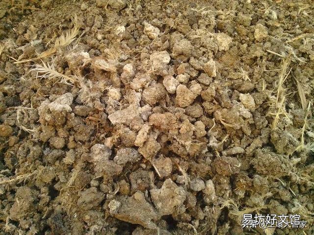 鸡粪是不是一种很好的农家肥?它含有重金属和激素吗?