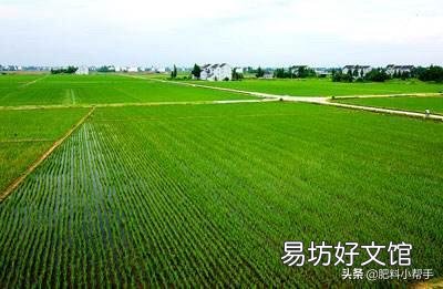 鸡粪是不是一种很好的农家肥?它含有重金属和激素吗?