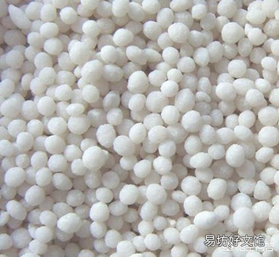 葡萄什么时候用硝酸铵钙好？