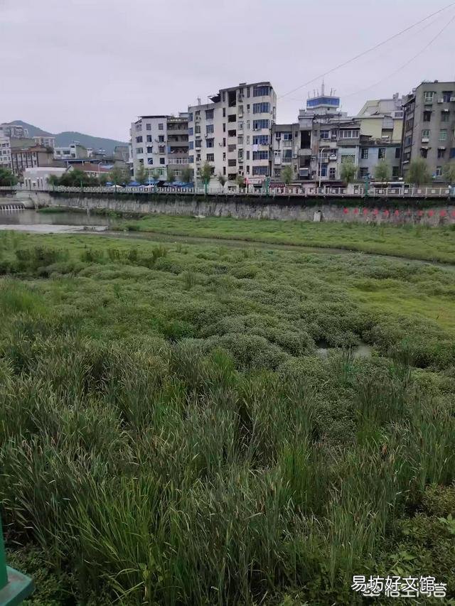 在小县城和农村做点什么生意好?