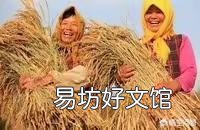 农村种水稻为什么不自己留种子,插水稻前是如何拔稻苗的?
