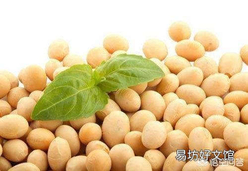 散养土鸡喂玉米搭配黄豆可以吗?