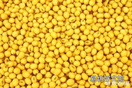 散养土鸡喂玉米搭配黄豆可以吗?