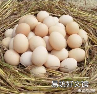 150多天蛋鸡高峰上不去,产蛋又下降什么原因?