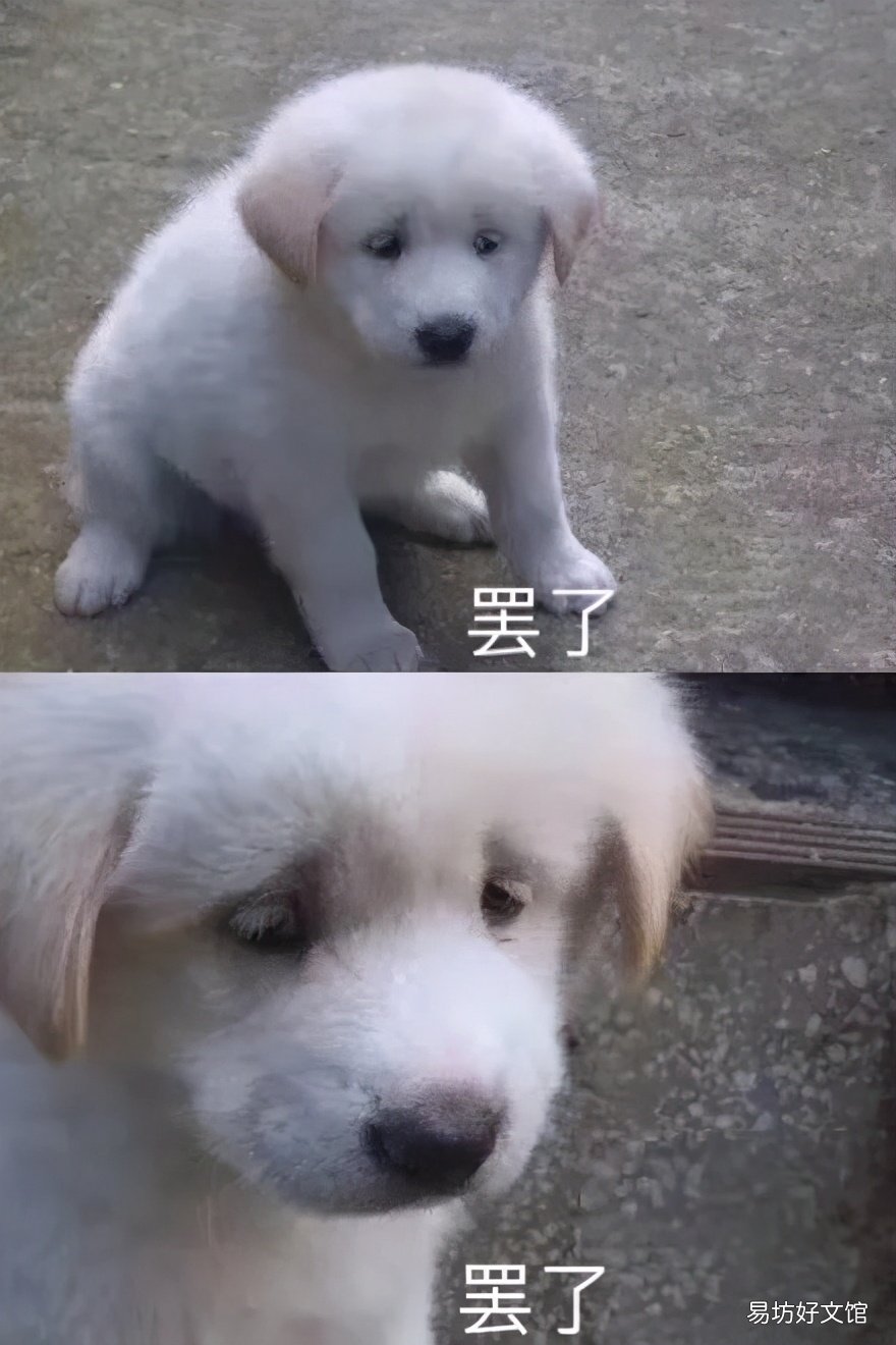 ps图片制作及详细步骤 photoshop素材网站有哪些