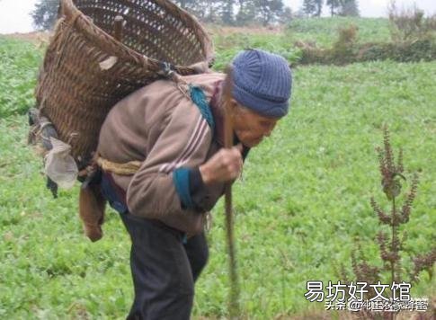 谷贱伤农,怎么提高农民种粮积极性?有什么好的方法吗?