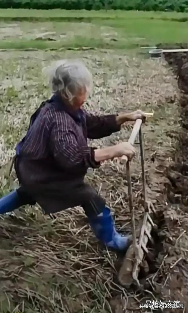 谷贱伤农,怎么提高农民种粮积极性?有什么好的方法吗?