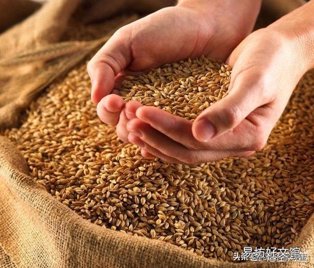 谷贱伤农,怎么提高农民种粮积极性?有什么好的方法吗?