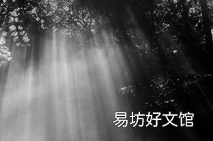 盘点常用的5款手机ps软件 ps的软件哪个比较好用
