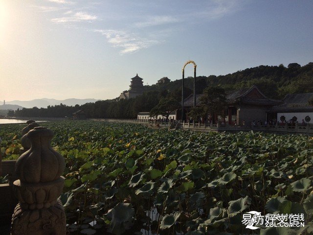 盘点常用的5款手机ps软件 ps的软件哪个比较好用