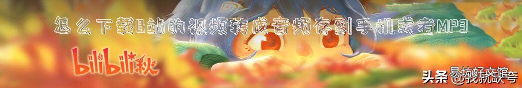 手机下载哔哩哔哩视频步骤 哔哩哔哩的视频怎么下载到手机