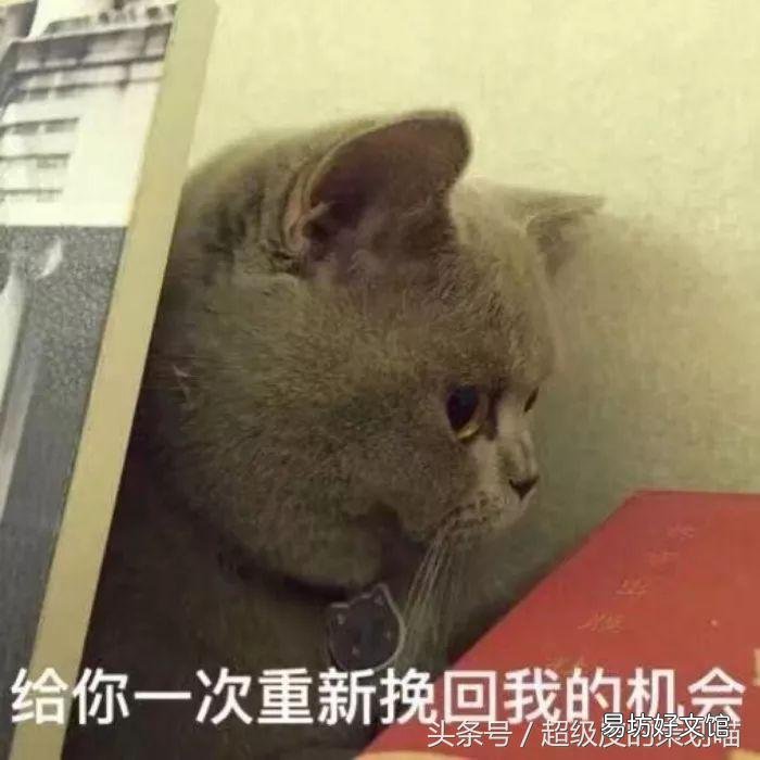 展示方式及計費模式 新浪粉絲通的展示方式是什么