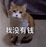 展示方式及計費模式 新浪粉絲通的展示方式是什么