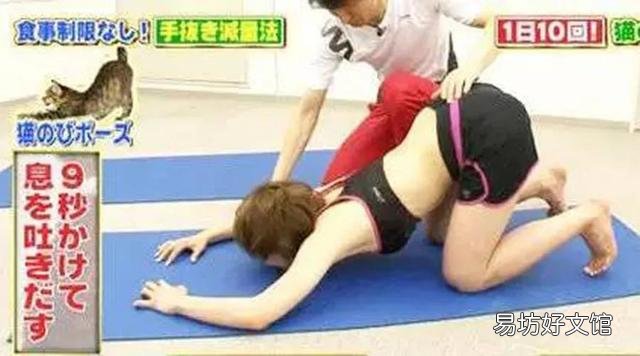 日本猫咪减肥法(日本猫式减肥法)