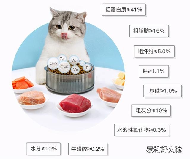 猫粮什么牌子好又便宜(国产猫粮什么牌子好又便宜)