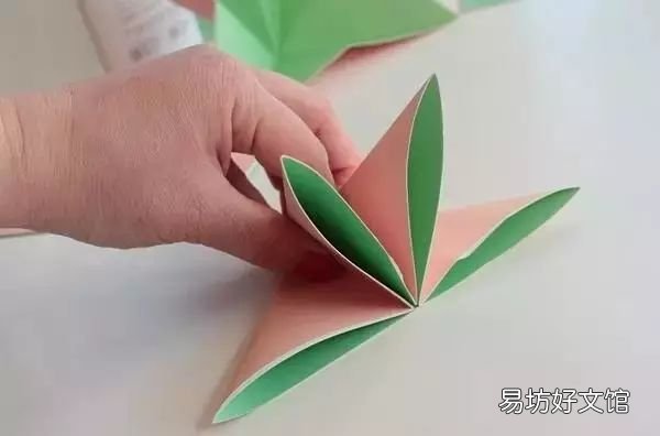 手把手教你折花 手工纸花怎么折简单又好看