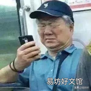 猫咪喝什么水(猫咪喝什么水比较好)