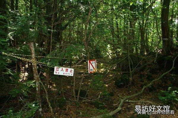 盘点科学界至今无解的灵异事件 世界灵异事件未解之谜事件
