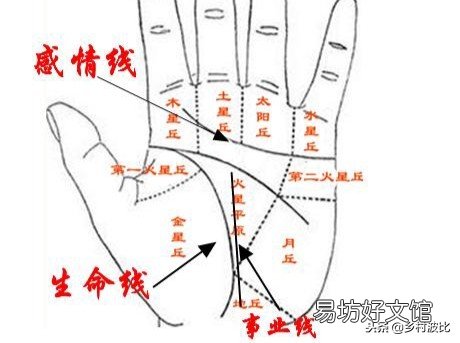 详解三角纹手相深意 马云手相三角纹解读