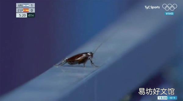 2021年外国奇葩新闻盘点