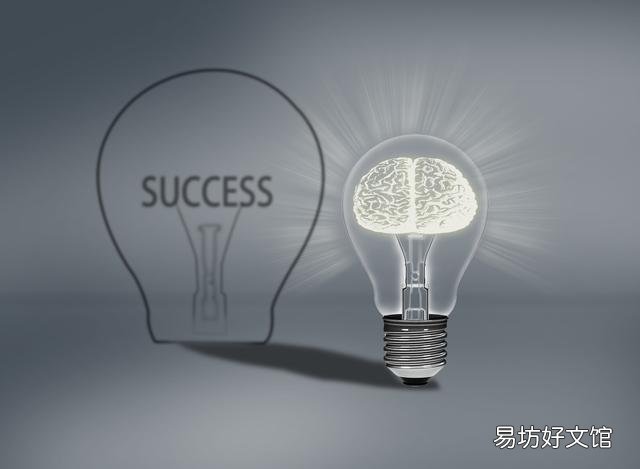 网络推广策划方案，如何有效做网络推广