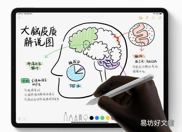 ipadpro发布时间公布,2020新ipadpro预测
