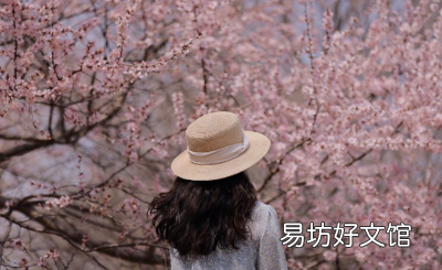 在中国到哪里去看樱花 2022看樱花不露脸怎么拍照
