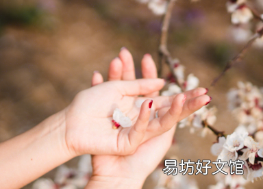 在中国到哪里去看樱花 2022看樱花不露脸怎么拍照