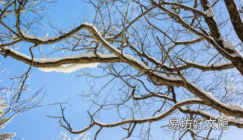 情人节送树枝什么梗(近期当女生在网上搜情人节送什么给男朋友时,发现系统一直在推送情人节送树枝或木棍,这到底是什么梗呢?其