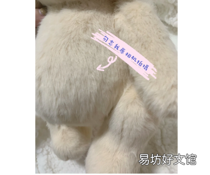 莉娜熊认脸备注教程 莉娜熊选哪个颜色好
